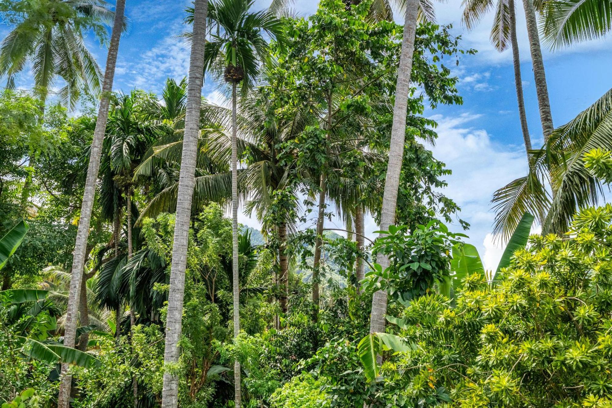 The Village Of Angels Holiday park Manggis (Bali)